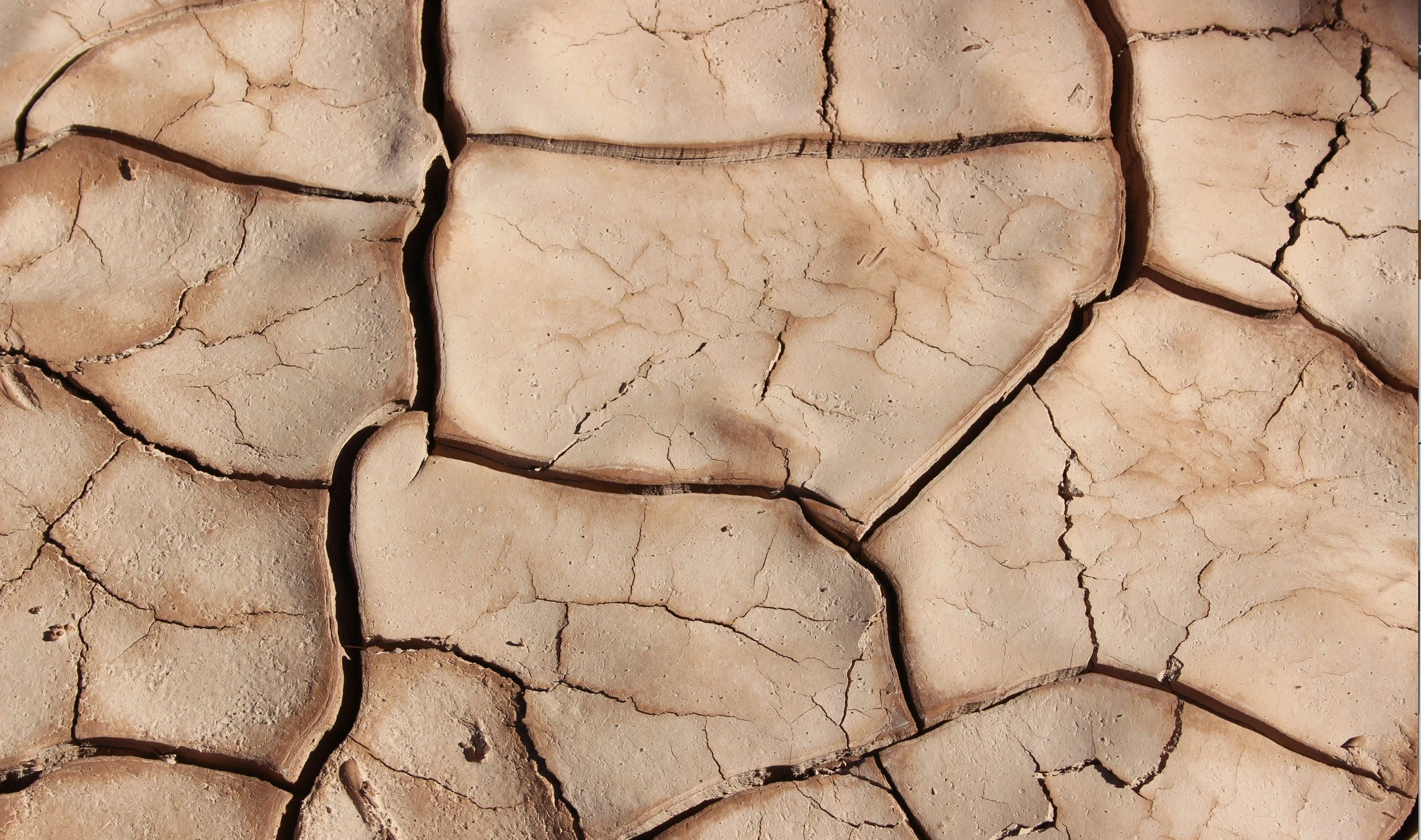 Download free bootstrap 4 landing page, free boootstrap 4 templates, Download free bootstrap 4.1 landing page, free boootstrap 4.1.1 templates, ollie Landing page